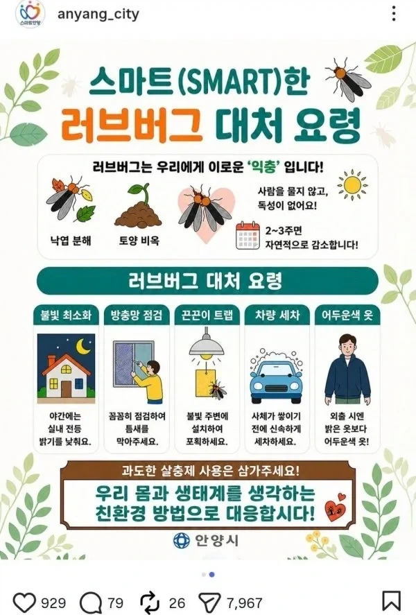 러브버그 출몰철만 되면 나오는 소리_1.webp