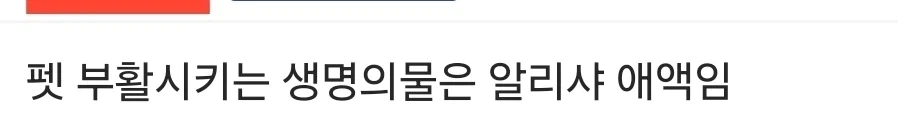 메이플 세계수 보짓물.jpg_1.webp
