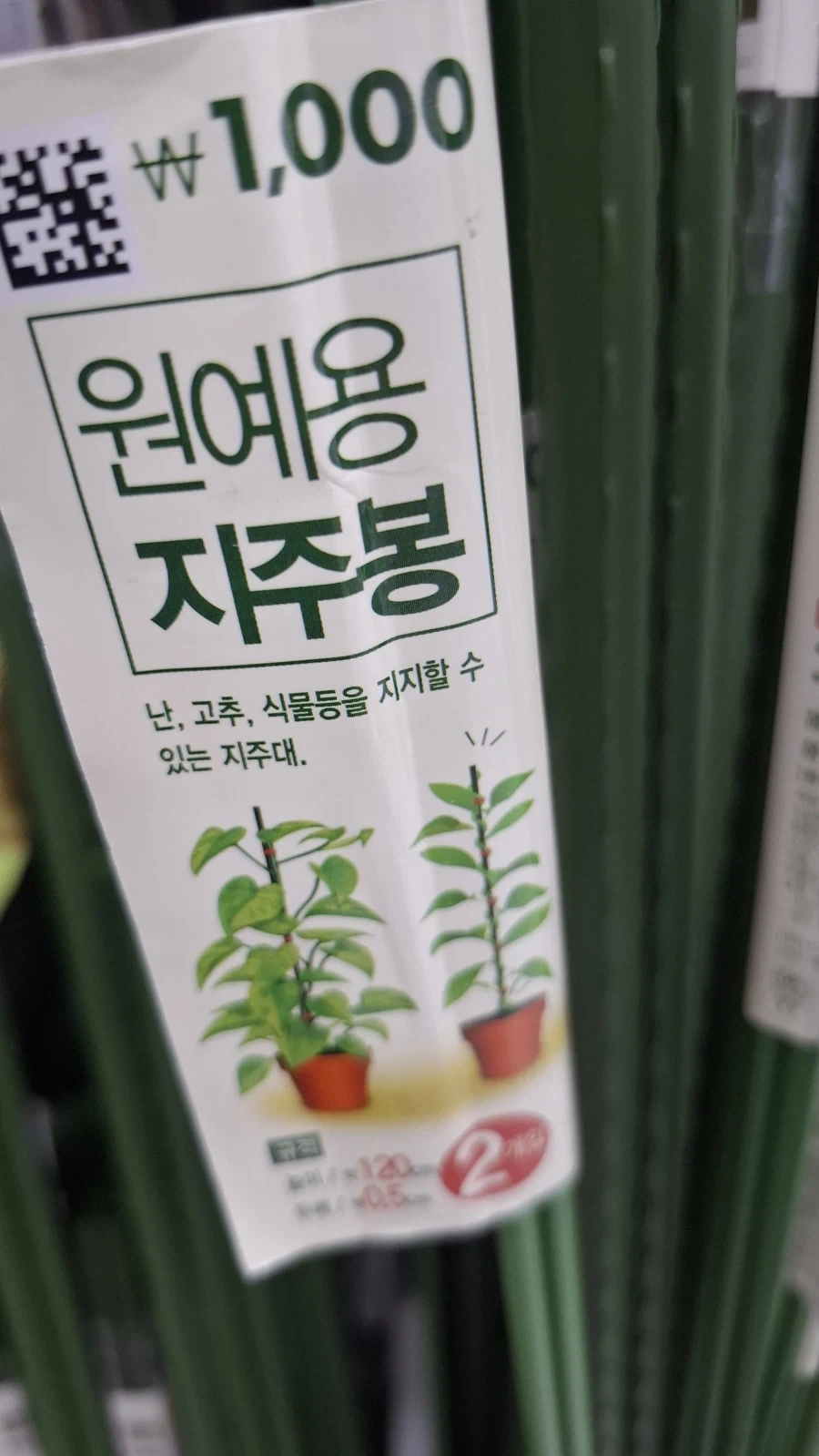 난 고추를 지지합니다_1.webp