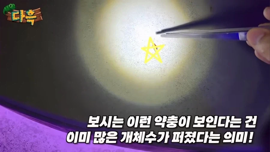 서울에서 러브버그보다 심각해질 문제_1.webp