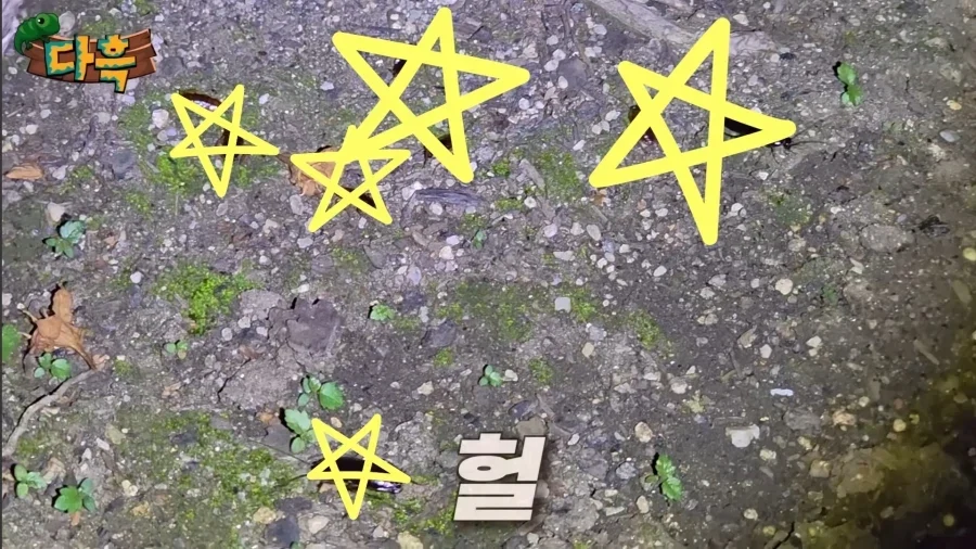 서울에서 러브버그보다 심각해질 문제_2.webp