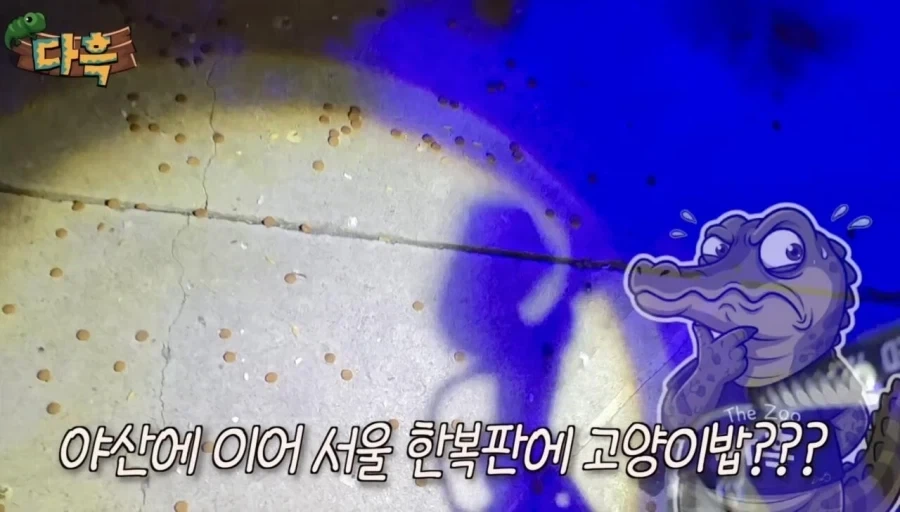 서울에서 러브버그보다 심각해질 문제_3.webp