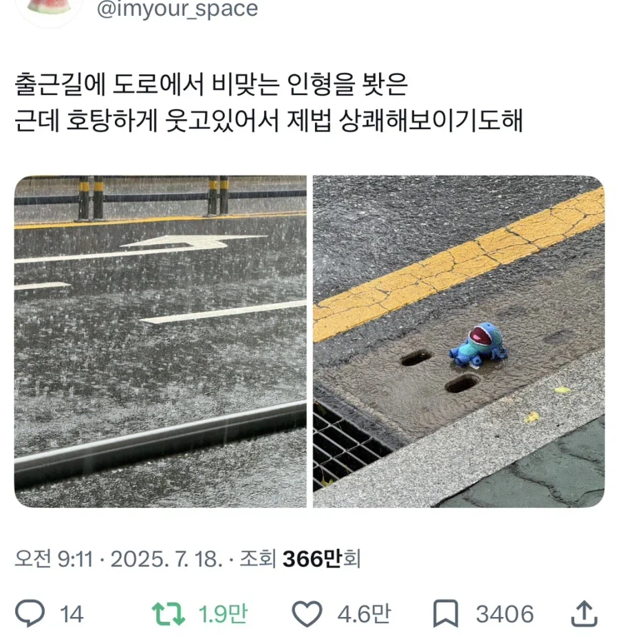 출근길에 비 맞는 인형을 봤다_1.webp