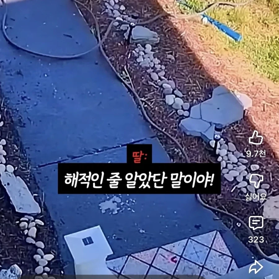 편견없는 순수한 아기_6.webp