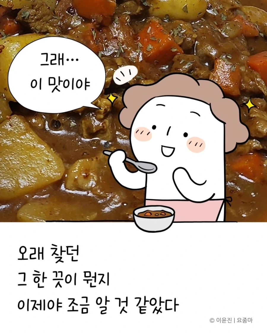 일본 유학시절 먹었던 카레맛을 재현한 분.jpg_15.webp