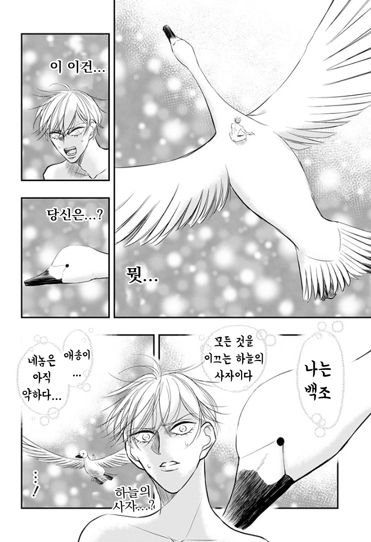 manga_128117_029.webp