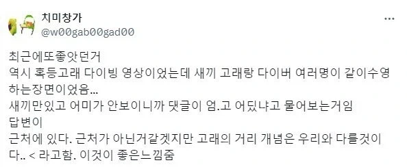 인간과 다른 고래의 거리감각_1.webp