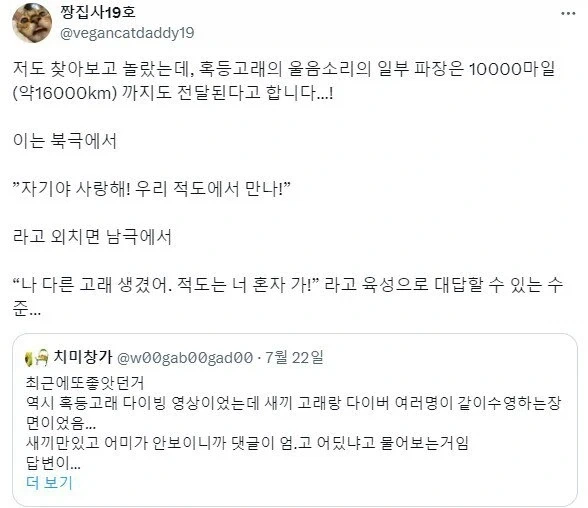 인간과 다른 고래의 거리감각_2.webp