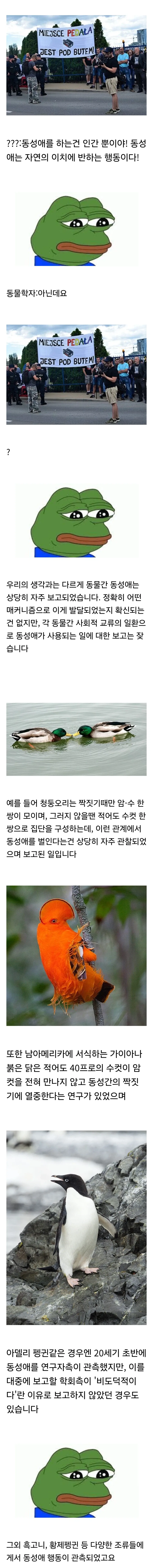 ???:동성애는 자연의 섭리에 반하는 행위다!_1.webp