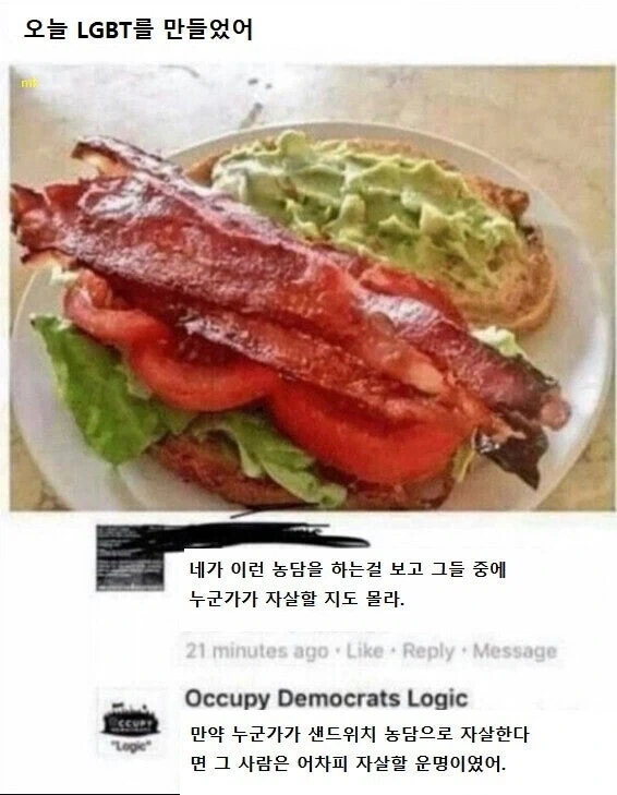 실제로 누군가를 죽게 만들수도 있는 LGBT 샌드위치 농담_1.webp