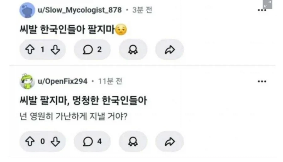 미장 개미가 보는 한국인_1.webp