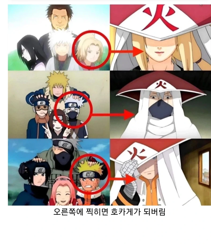 정부 통수권자 역사적으로