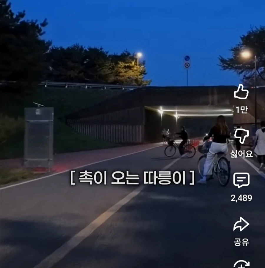 한강에서 자전거타는게 위험한 이유_5.webp
