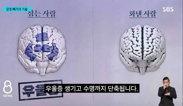 화를 참으면 우울증, 화를 내면 심장병 _1.webp