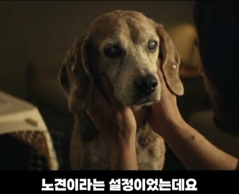 처음에 노인 배우 캐스팅을 고려했던 영화.jpg_15.webp