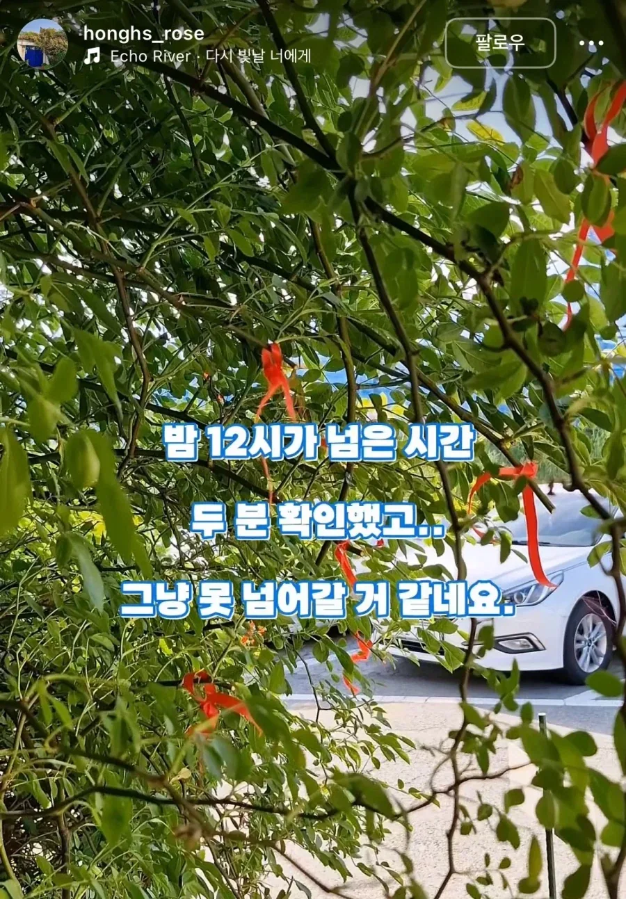 수원 행궁동 파란대문 장미 훼손 사건_2.webp