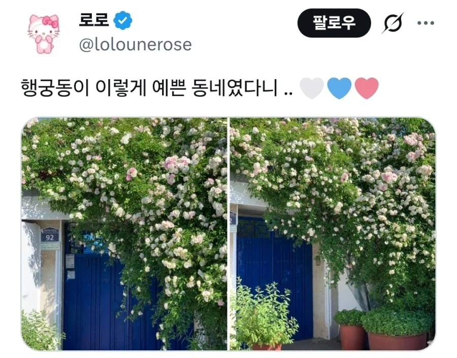 수원 행궁동 파란대문 장미 훼손 사건_7.webp