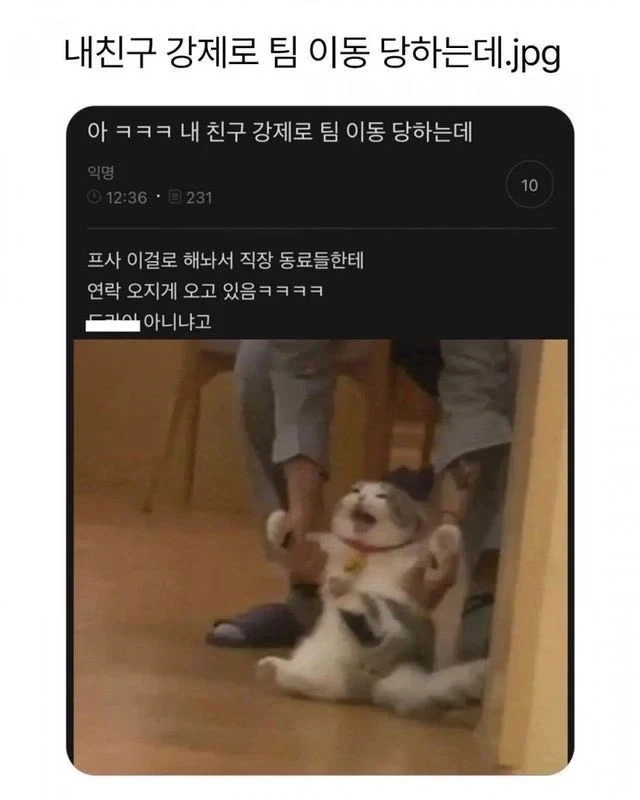 강제로 팀 이동당하는 사람 프사._1.webp