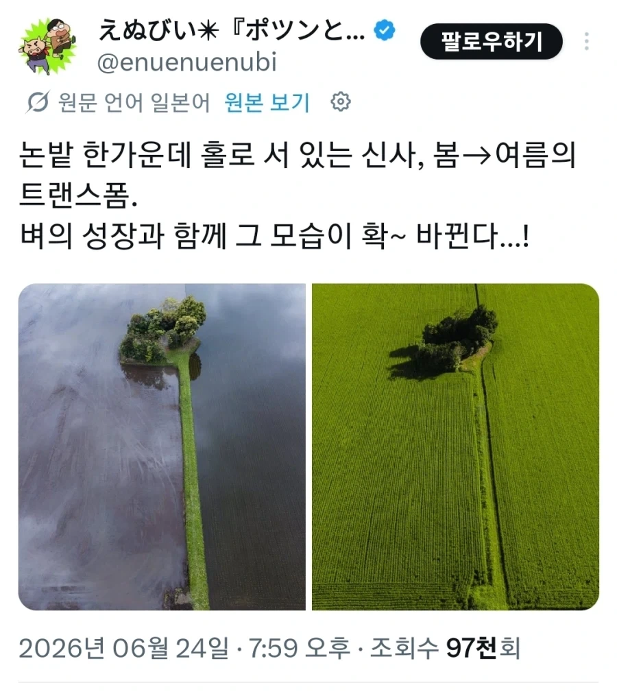 논밭 한가운데 지은 일본의 신사.jpg_1.webp