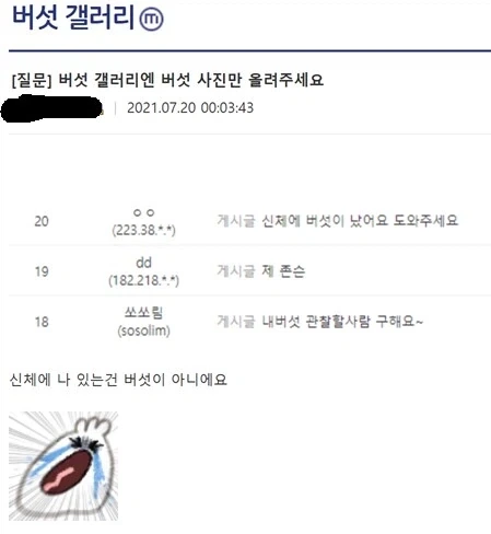 의외로 버섯 갤러리 금지사항_1.webp