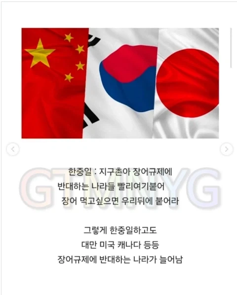 한중일이 힘을 합치면 무적이다_8.webp