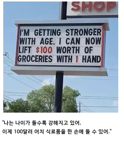 나이가 들수록 강해진다는 증거_1.webp