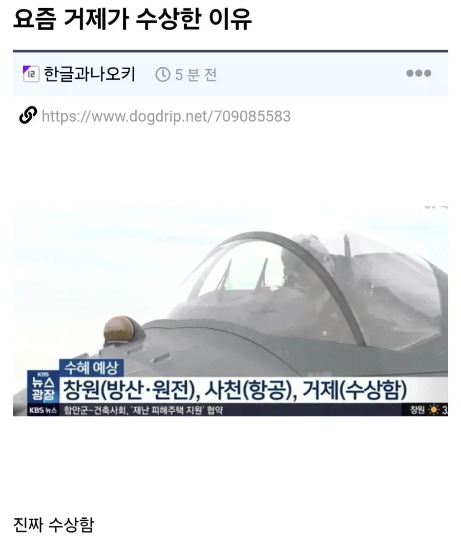 수상한 거제_1.webp
