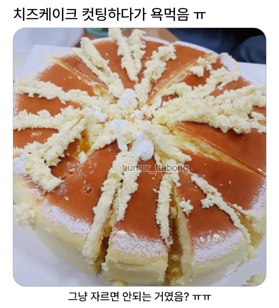 치즈케이크 자르다가 욕먹음 ㅠㅠ.jpg_1.webp
