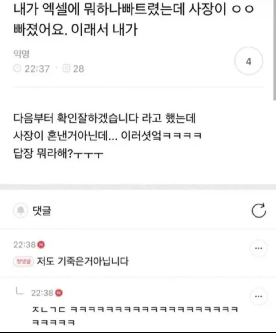 사장이 엑셀에 뭐 빠졌다고 했는데.jpg_1.webp