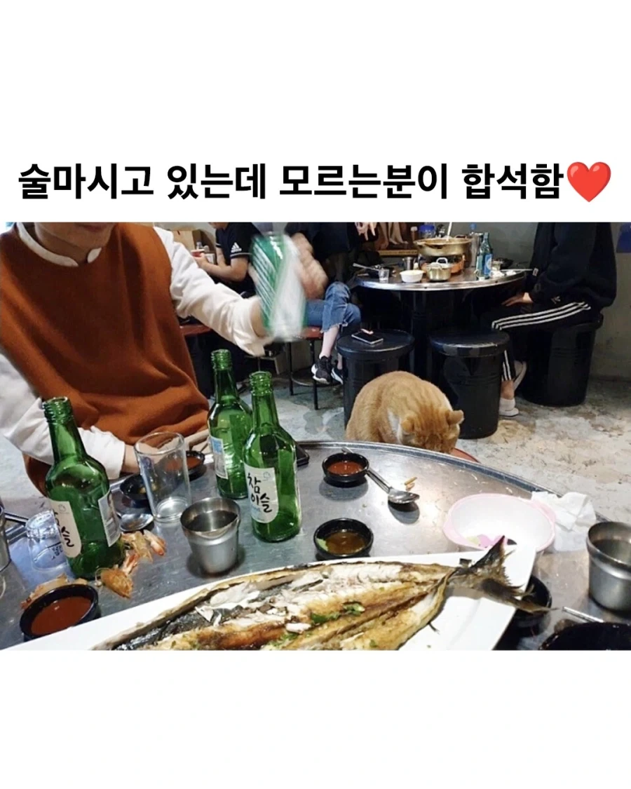 술 마시고 있는데 갑자기 모르는 분이 합석함._1.webp