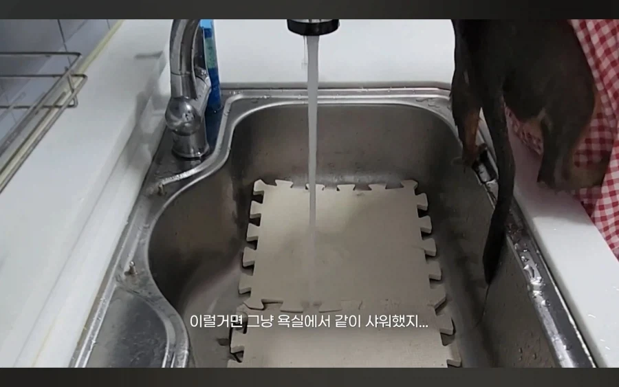 냥 : 아 맞다. 나 지금 삐졌지, 참_11.webp