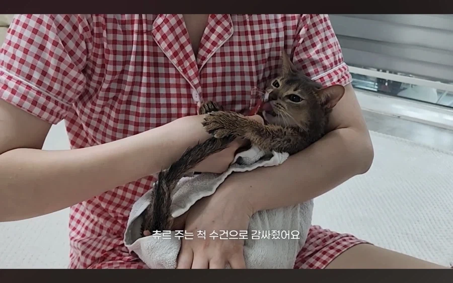냥 : 아 맞다. 나 지금 삐졌지, 참_19.webp