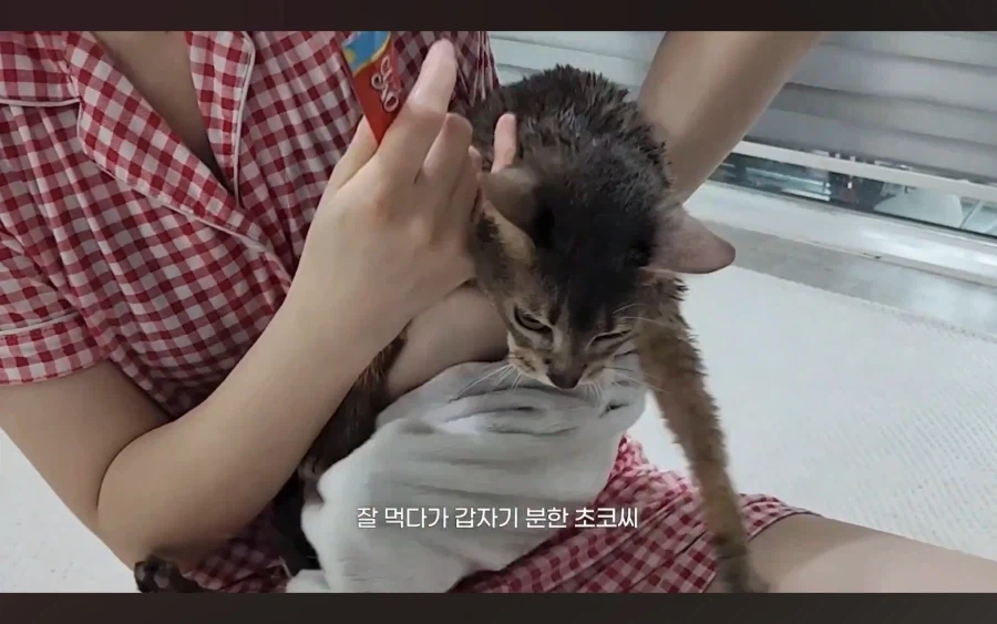 냥 : 아 맞다. 나 지금 삐졌지, 참_21.webp
