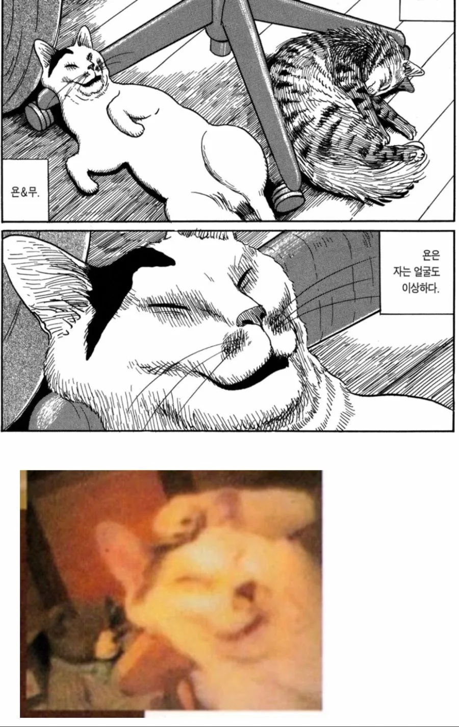 manga_208901_004.webp