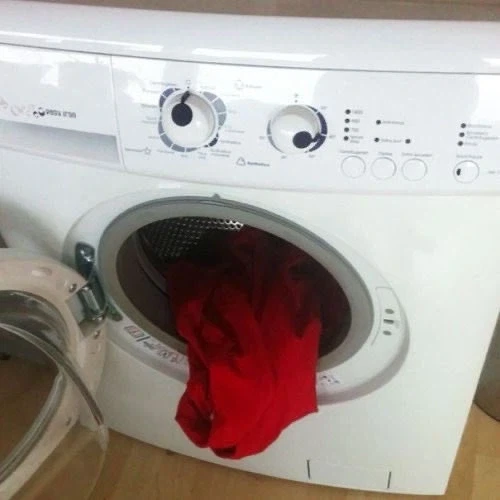 어이어이, 이녀석 입안 좀 굴려줬더니 가버렸다고ww_1.webp