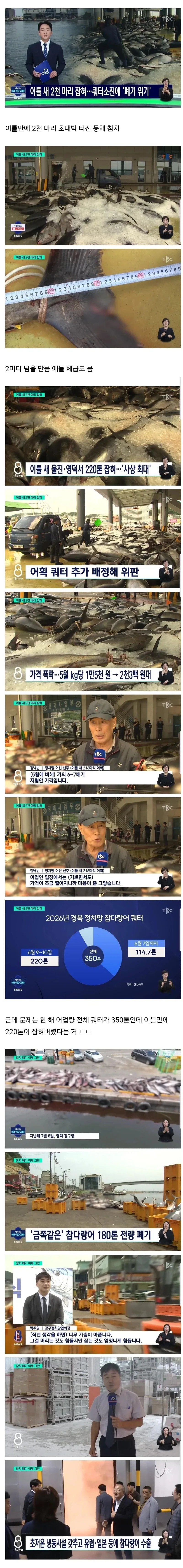참치 때문에 난리났다는 동해.jpg_1.webp