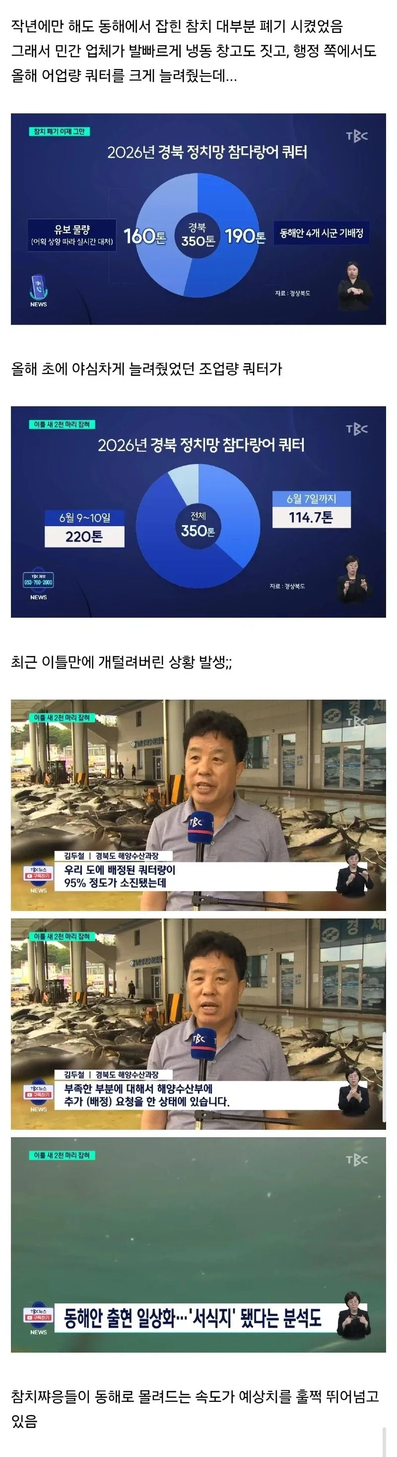 참치 때문에 난리났다는 동해.jpg_2.webp
