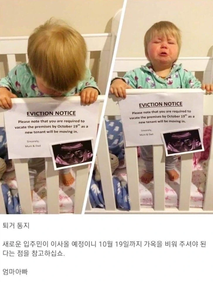 집주인이 1년안에 퇴거하라고 한다._1.webp