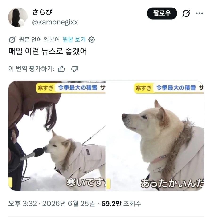 일본 : 한국 뉴스에서 토끼 인터뷰를 했다고?_1.webp