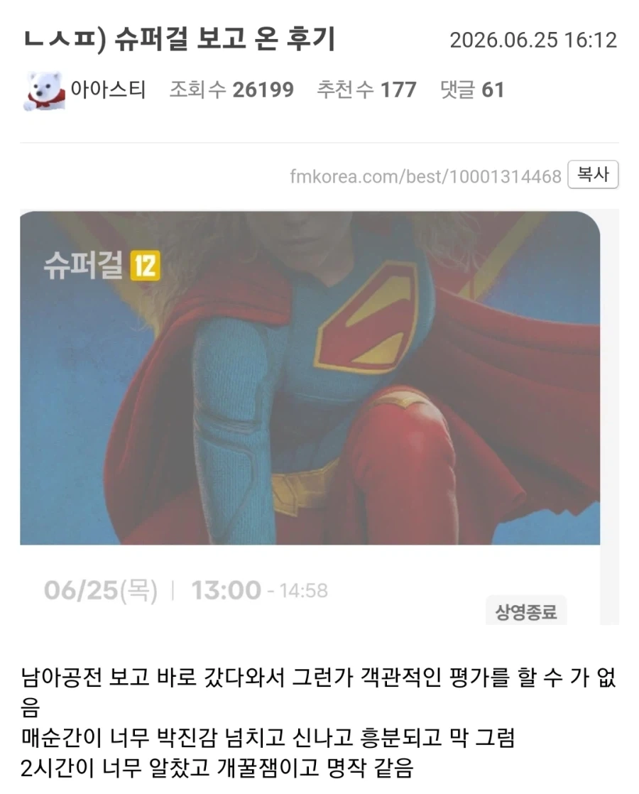 슈퍼걸을 재미있게 관람했다는 사람.jpg_1.webp