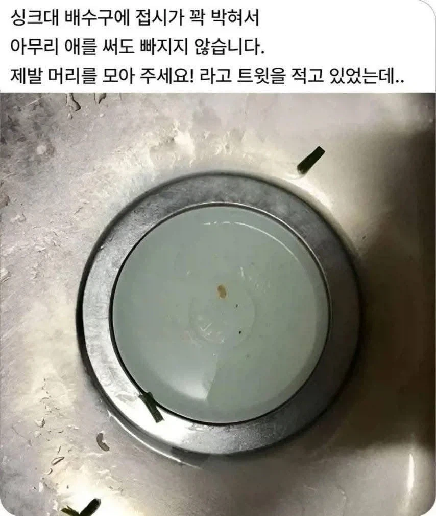 싱크대 배수구에 접시가 꽉 박혀서 안 빠져요! 도와주세요!.jpg_1.webp