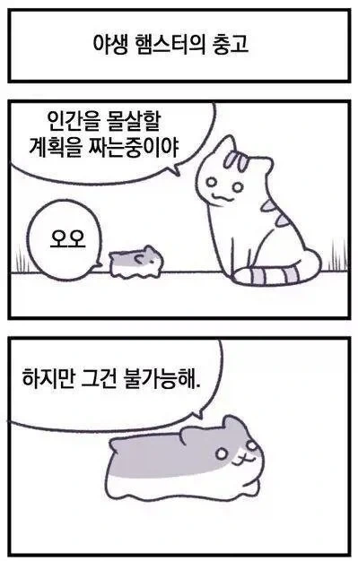 사악한 고양이의 인간몰살.manhwa_1.webp
