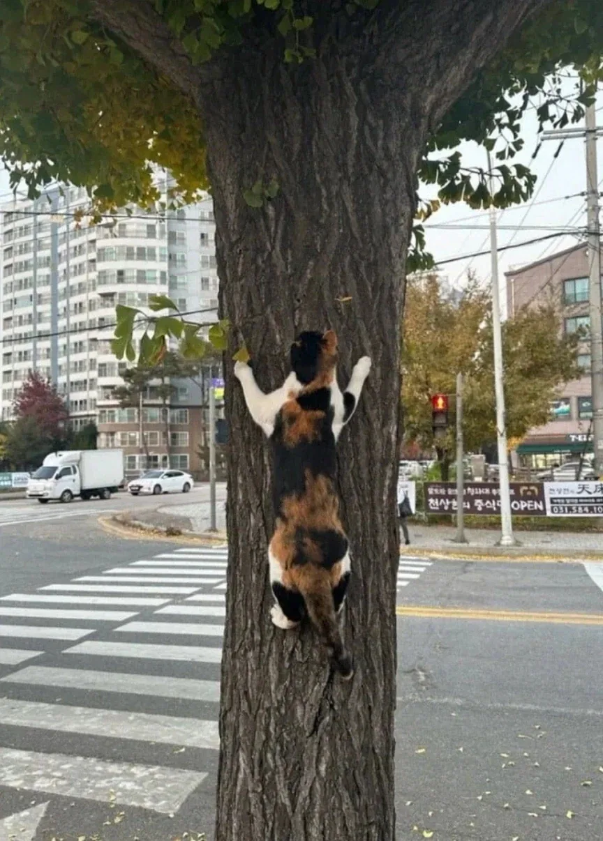 여름되면 보이기 시작하는것_1.webp