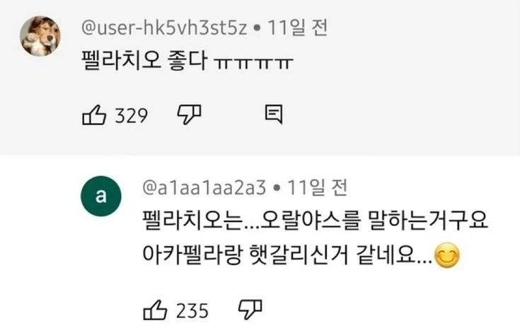 ??? : 펠라치오 좋다 ㅠㅠㅠ_1.webp
