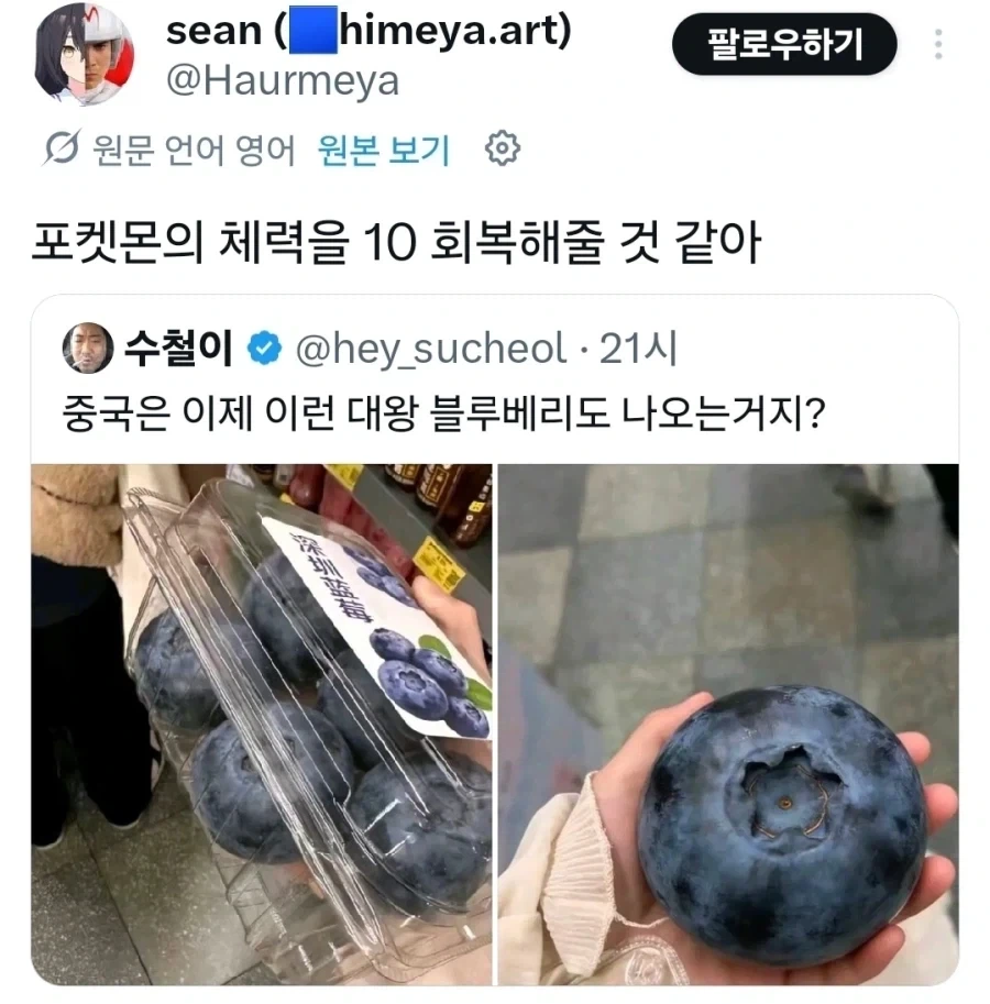 포켓몬 체력 10 회복_1.webp