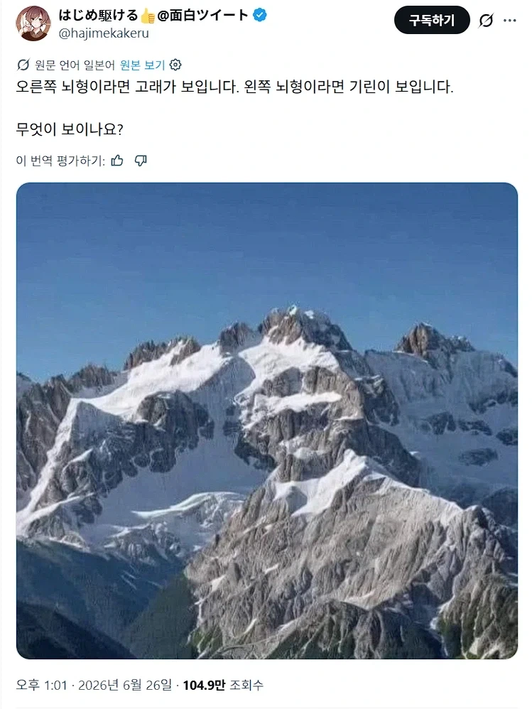 우뇌형 인간이라면 고래가 좌뇌형 인간이라면 기린이 보입니다._1.webp