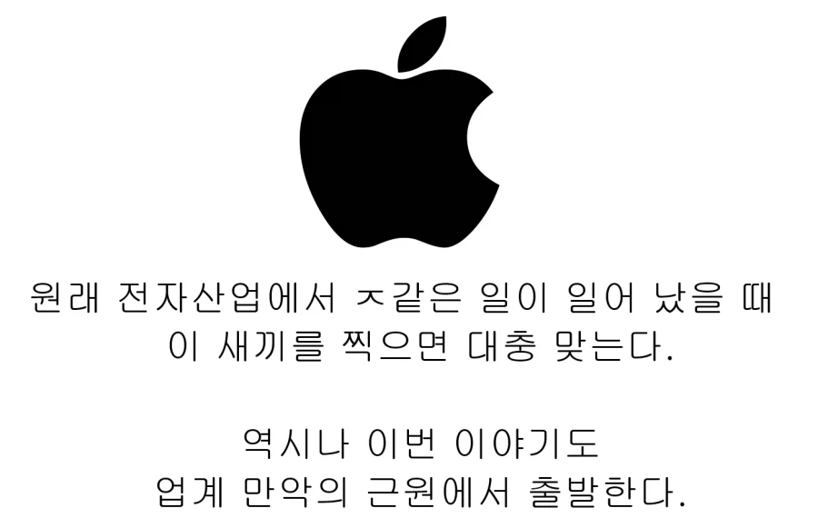 전자제품 산업계에서 애플 이미지 한장요약_1.webp