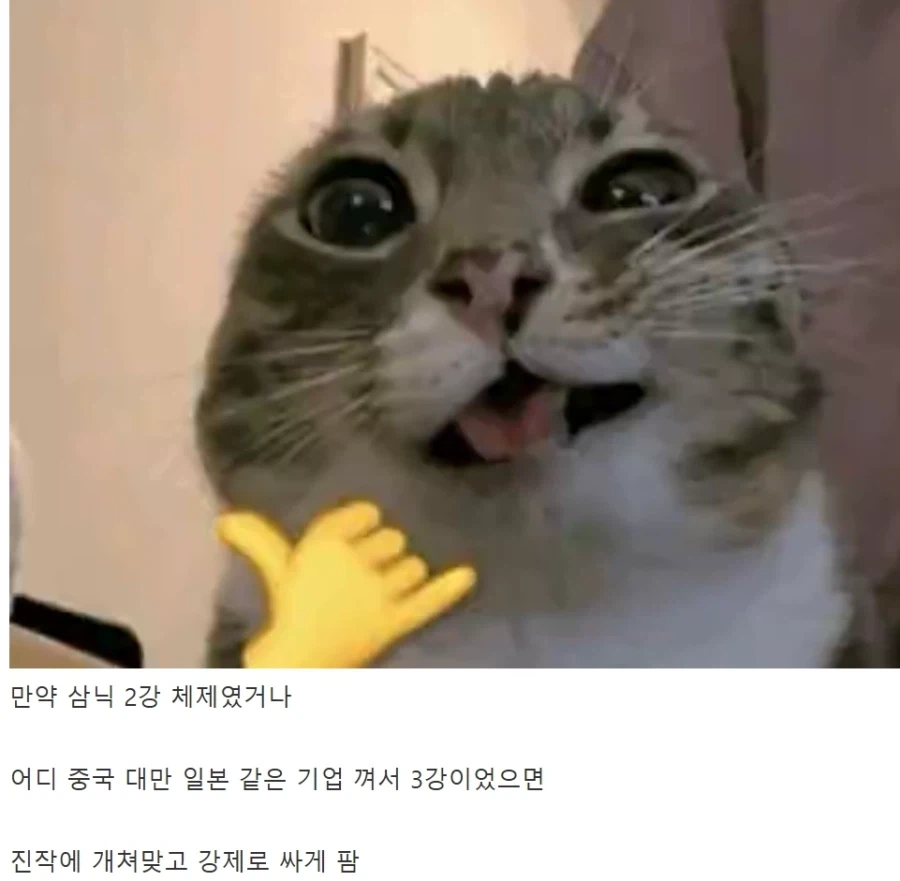 반도체) 마이크론이 미국기업이라 다행인 이유_1.webp