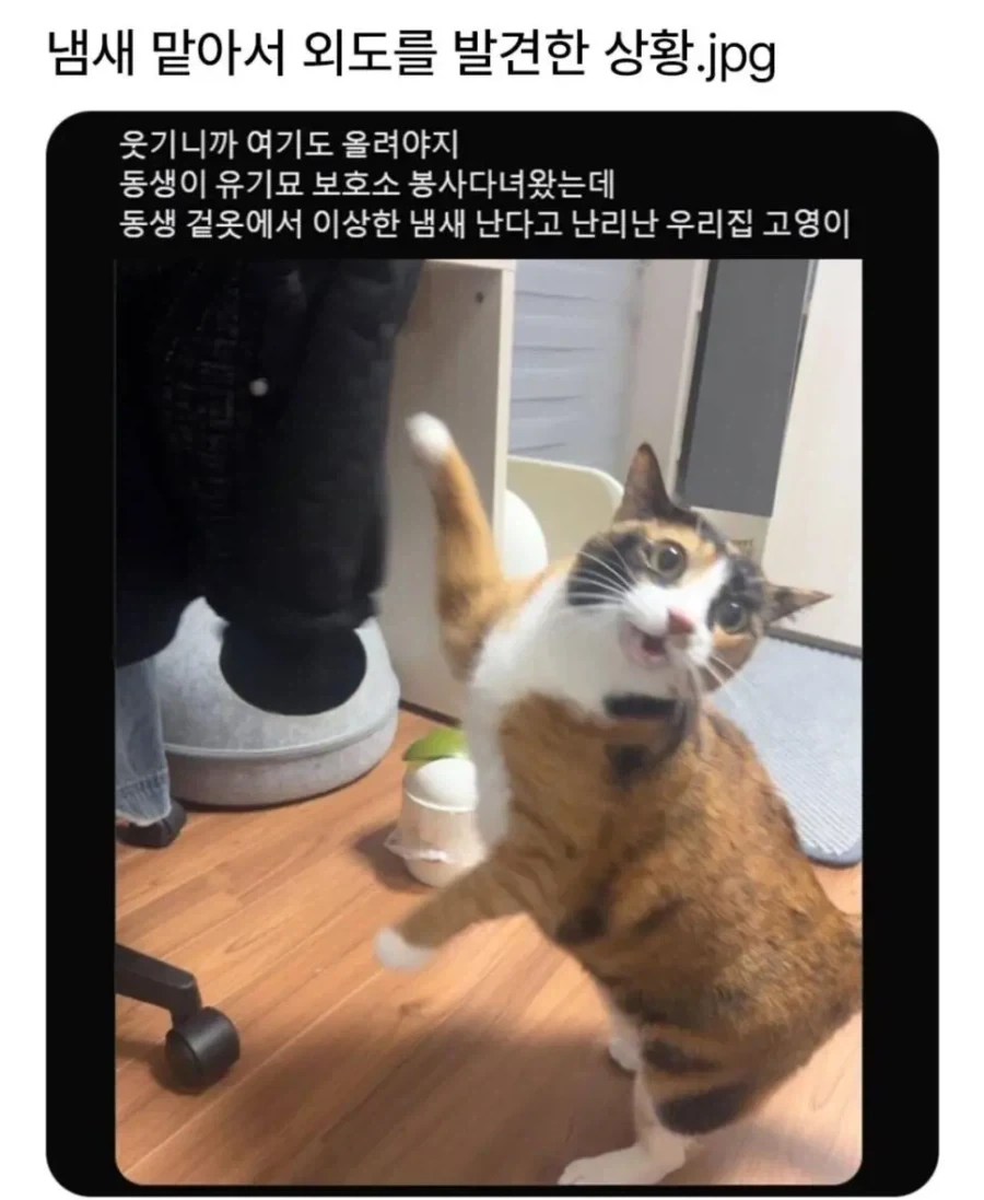 냄새 맡아서 외도를 발견한 상황_1.webp