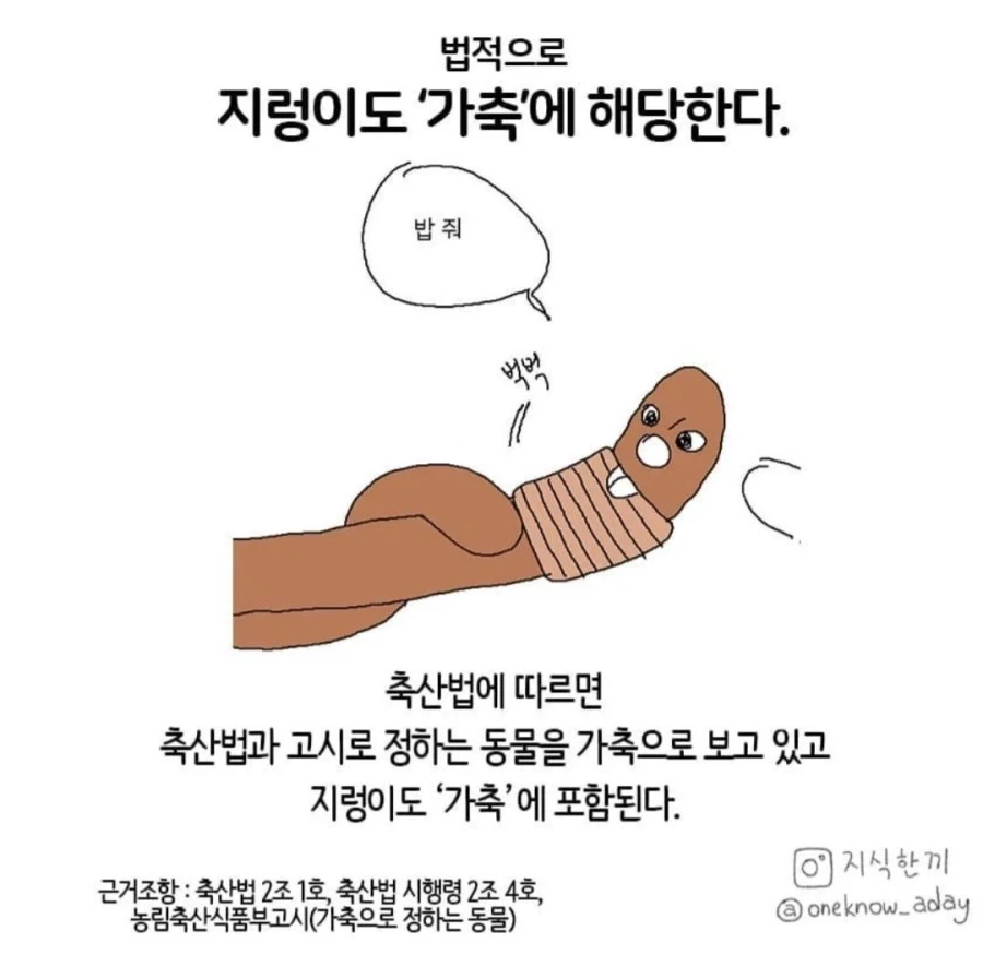 의외로 가축인 것_1.webp